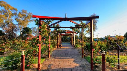 Cowra Rose Garden